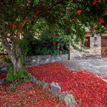 Guest house Palios Stathmos *